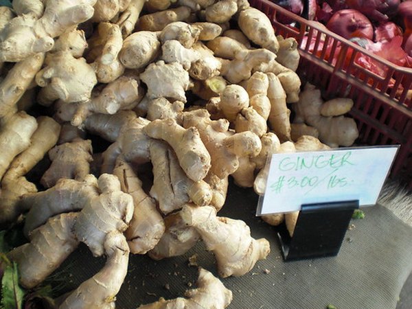 Ginger