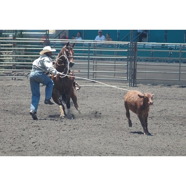 how-to-make-calf-roping-dummies-healthfully