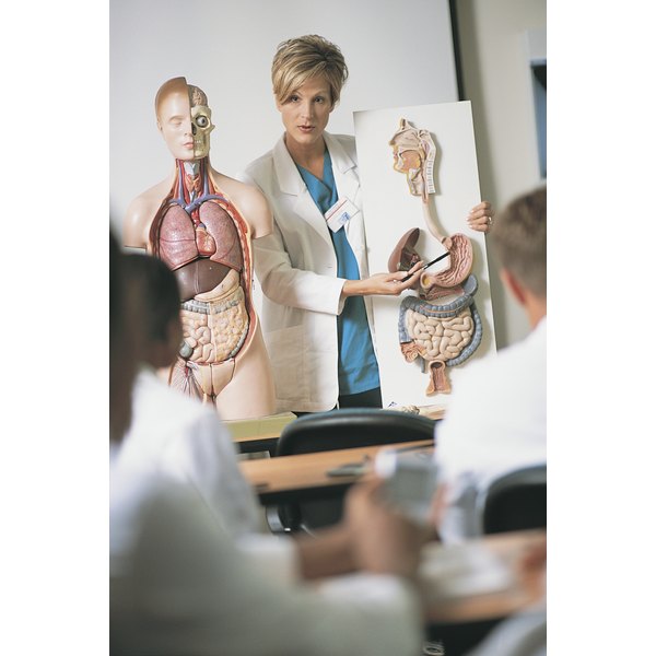 Comstock/Comstock/Getty Images Instructor teaching class at medical school