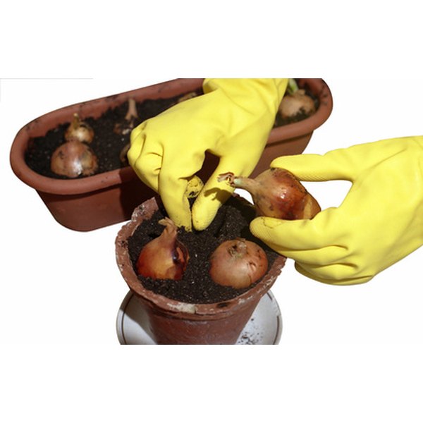 gardening image by Aleksandr Popov from Fotolia.com ...