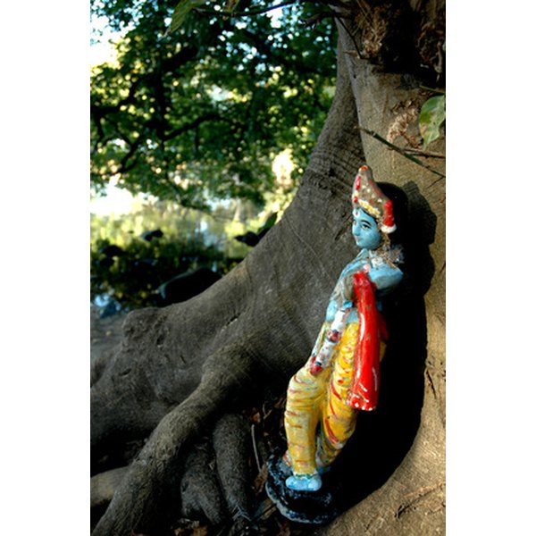 krishna (albion, ile maurice) image by indeepdark from Fotolia.com ...
