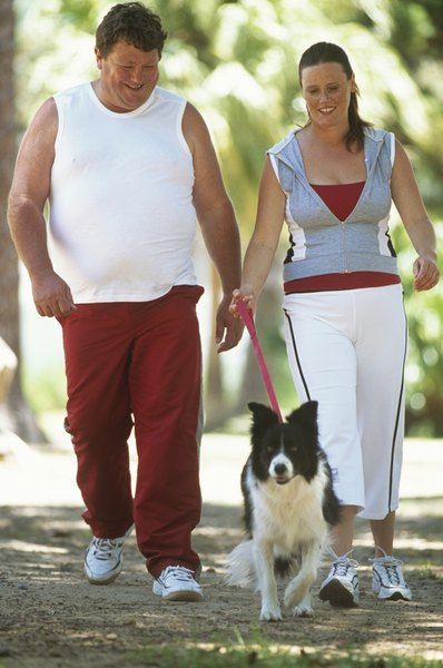Stockbyte/Stockbyte/Getty Images Exercise is important to keep your dog fit and healthy.