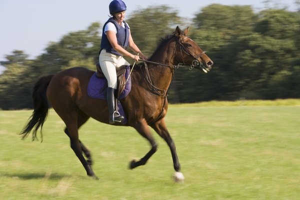 how-to-gallop-a-horse-with-control-animals-mom-me