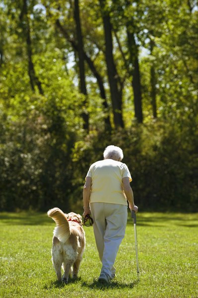 Apple Tree House/Photodisc/Getty Images DMSO helps people and dogs with arthritic issues.