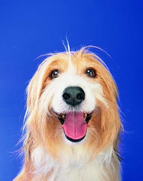 Photodisc/Photodisc/Getty Images "Keep up with all of my various grooming needs, nail trimming included."