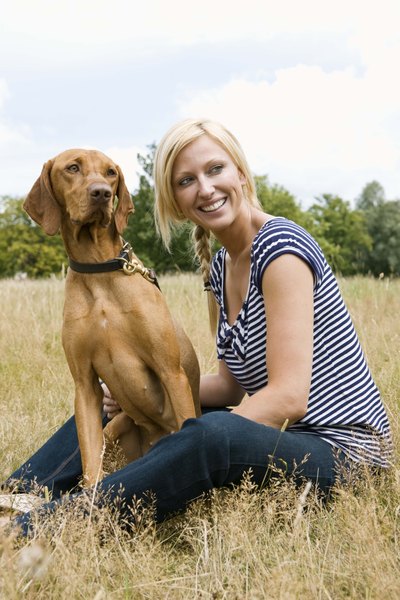 Jupiterimages/Polka Dot/Getty Images Check your dog's skin weekly for signs of infection or injury.