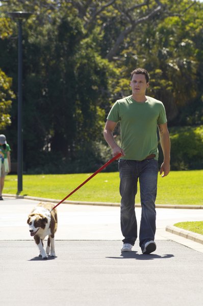 Kane Skennar/Photodisc/Getty Images Keeping your dog away from feces at parks helps reduce whipworm infestations.