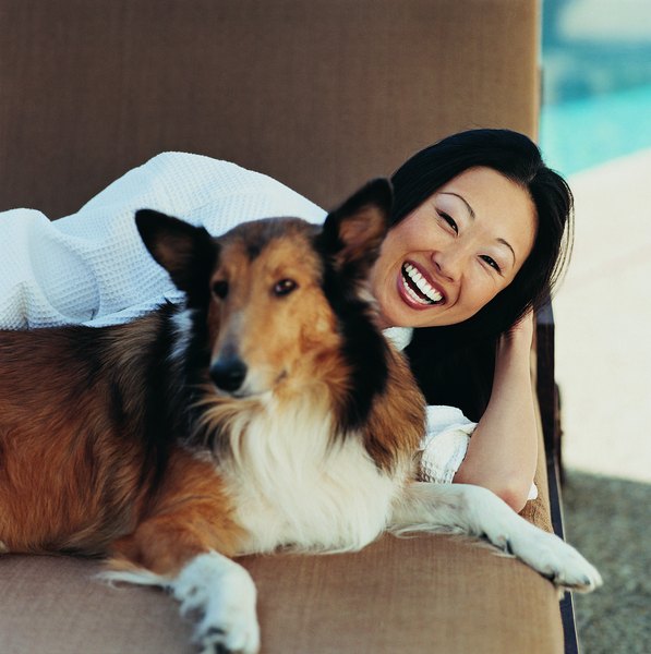 Digital Vision./Photodisc/Getty Images Collie grooming requirements aren't as onerous as you might imagine.