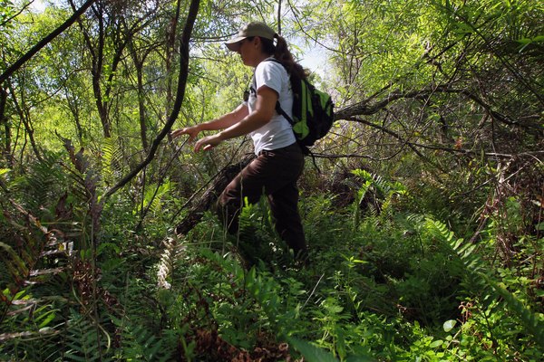 what-is-the-best-major-to-become-a-wildlife-biologist-youtube