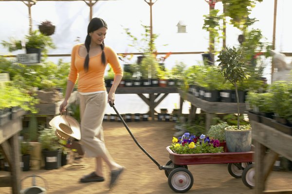 Creatas/Creatas/Getty Images When choosing plants for your garden or home, check for potential toxicity.