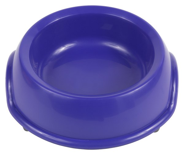 Hemera Technologies/PhotoObjects.net/Getty Images Dogs require a fresh and readily available water source.