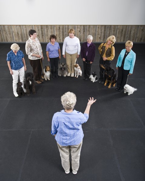 Apple Tree House/Lifesize/Getty Images You'll learn the signal for "down" and other commands at a basic obedience class.