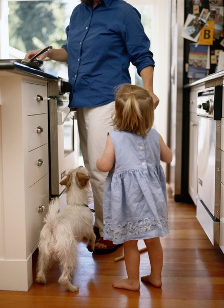Ryan McVay/Photodisc/Getty Images Laminate floor offers good protection against scratches from small dogs.