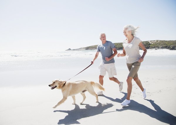 Robert Daly/OJO Images/Getty Images Dogs are vulnerable to sunburn, especially on the face.