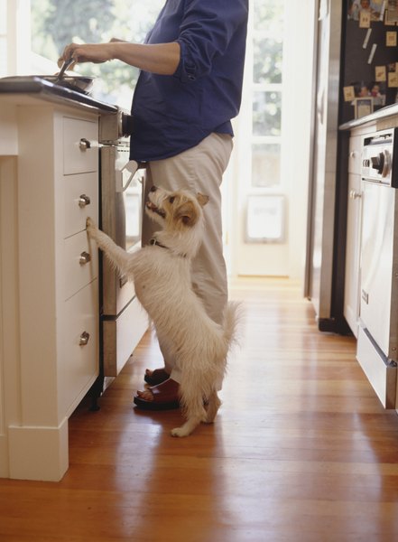 Ryan McVay/Photodisc/Getty Images Home cooking is a healthy alternative to kibble your dog will love.