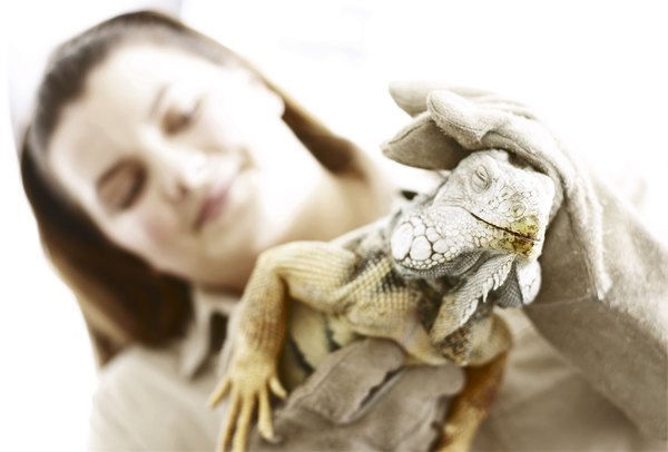 Certifications to Become a Zoologist - Woman