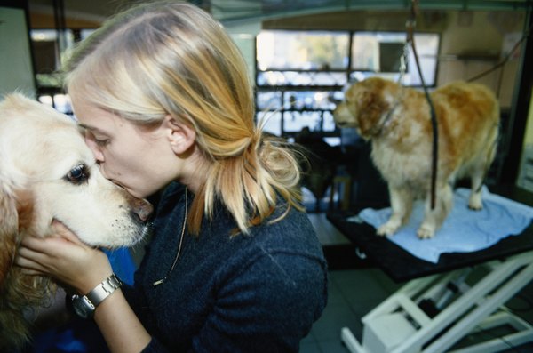 David De Lossy/Photodisc/Getty Images A dog with mange needs veterinary attention.