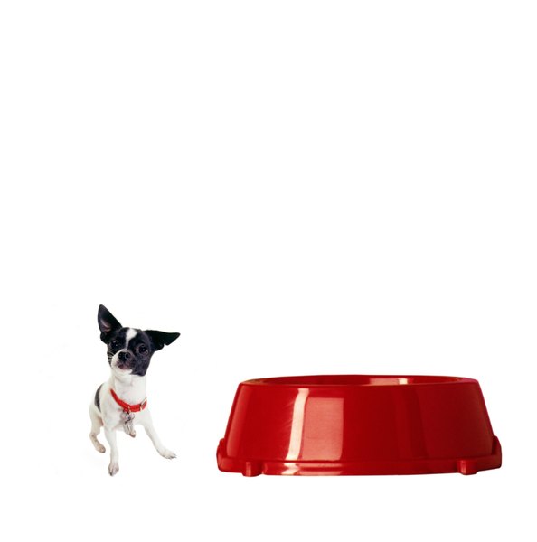Gayla Bailey/Digital Vision/Getty Images You would not feed a small dog the same amount of food as you would a larger dog.