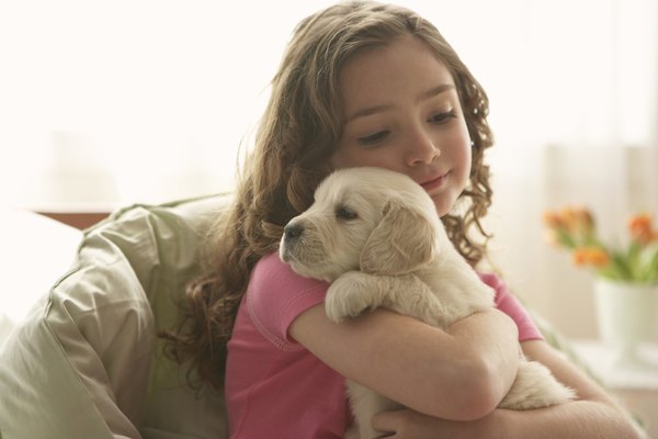 Chris Amaral/Digital Vision/Getty Images Keep your pup healthy by eradicating pesky parasites.