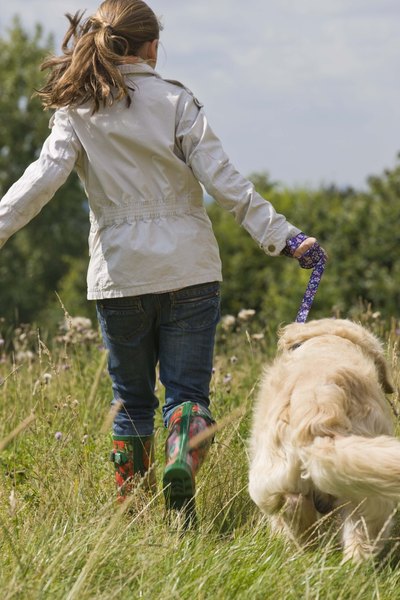 Jupiterimages/Polka Dot/Getty Images Brush your goldendoodle's coat following outings to avoid matting.