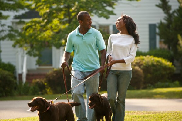 Comstock Images/Comstock/Getty Images Create a halter for your dog to keep it from pulling at the leash.