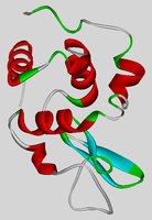 How To Open Pdb File How To Open Pdb File