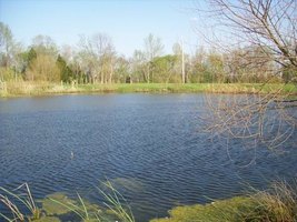 How do I stop my farm pond from leaking?