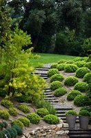 How to Landscape for a Hilly Front Yard | eHow
