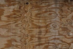 mold subfloor wood kill flooring moldy ehow getty