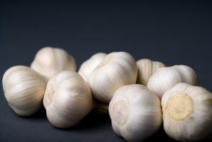 Can you freeze whole garlic cloves?