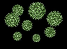 Resultado de imagen de virus del zoster IMAGENES