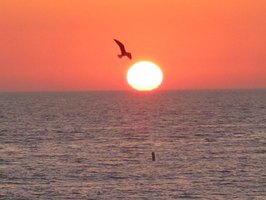 best all inclusive resorts in florida best all inclusive resorts in florida
