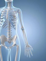 Tricks for Remembering Bones in Anatomy | eHow