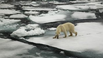 global warming debate research paper global warming debate research paper