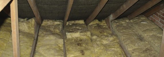 How To Get Rid Of Mildew >> How to Get Rid of Mold in the Attic | eHow How To Get Rid Of Mildew >> How to Get Rid of Mold in the Attic | eHow