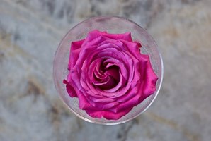 How to Start a Wedding Decorating Business | eHow How to Start a Wedding Decorating Business | eHow