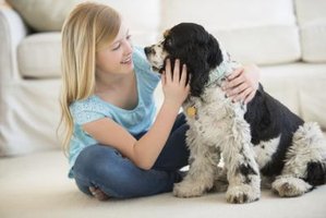 How To Clean Vomit From Carpet With Baking Soda 5 Steps Image Titled Clean Pet Vomit From Carpet Step 4