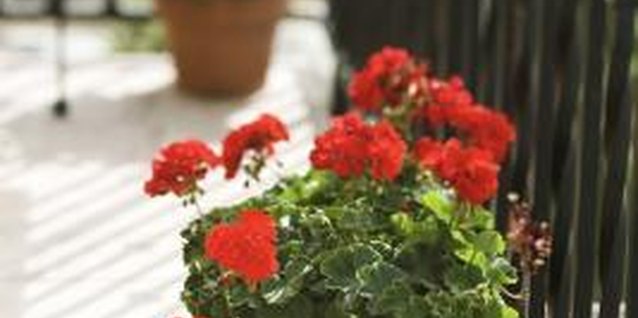 Thinkstock/Comstock/Getty Images The spacing of the slats on a balcony railing affects safety.