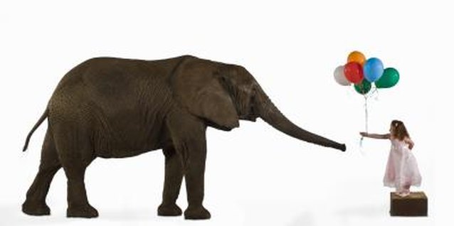 Erik Snyder/Photodisc/Getty Images Elephants seem to fascinate children.
