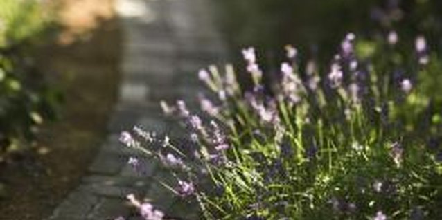 Jupiterimages/Comstock/Getty Images Functioning weed blocker material can eliminate the need for herbicides.