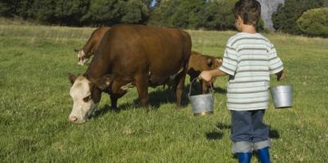 Jupiterimages/Pixland/Getty Images Cow's milk can serve as the basis for ymmy farm-themed party beverages.