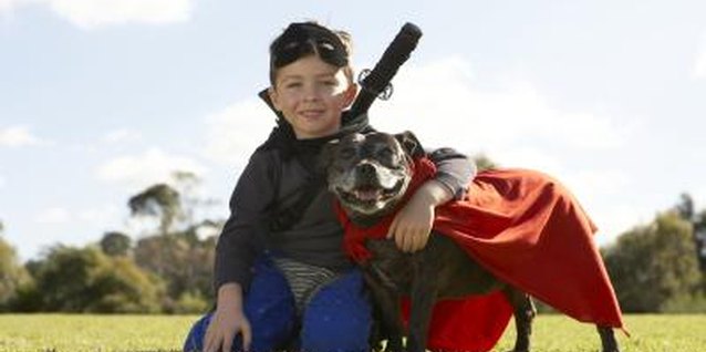 Bec Parsons/Digital Vision/Getty Images Pet-safe weed killers are also eco-friendly.
