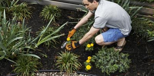 Chris Clinton/Lifesize/Getty Images Plastic edging works for a walkway made of pebbles.