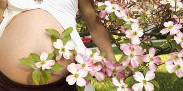 Medioimages/Photodisc/Photodisc/Getty Images Plant dogwoods for an explosion of color in the spring.