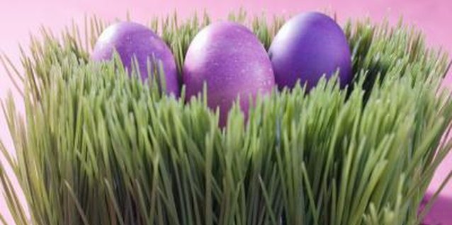 Jupiterimages/Creatas/Getty Images Help your little one grow Easter grass!