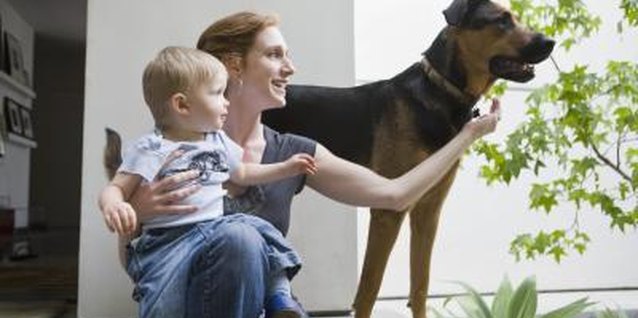 Jupiterimages/Comstock/Getty Images Child-proofing and pet-friendly peace of mind go hand in hand.