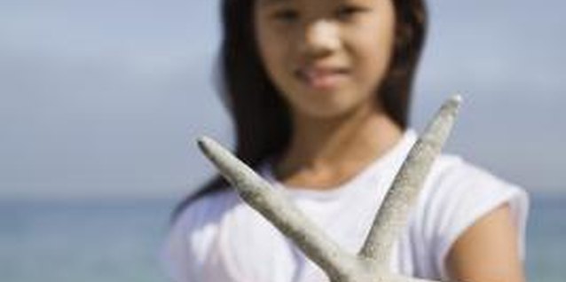 Jupiterimages/Goodshoot/Getty Images Finger starfish have long, narrow appendages.