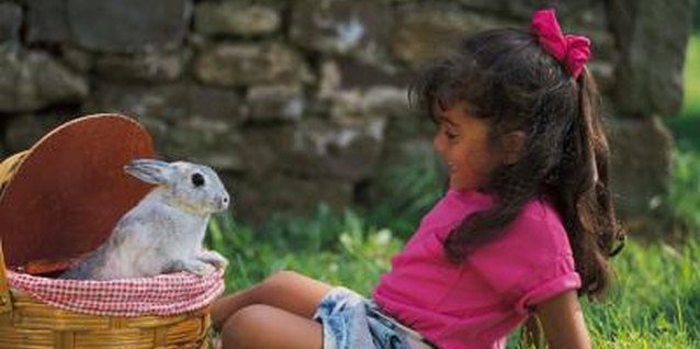 Comstock/Comstock/Getty Images She might meet a real Easter Bunny in her Sunday school class.
