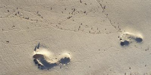 IT Stock/Polka Dot/Getty Images That flat footprint in the sand is normal for toddlers.