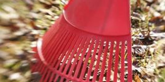 Thinkstock/Comstock/Getty Images Raking keeps the lawn looking clean.